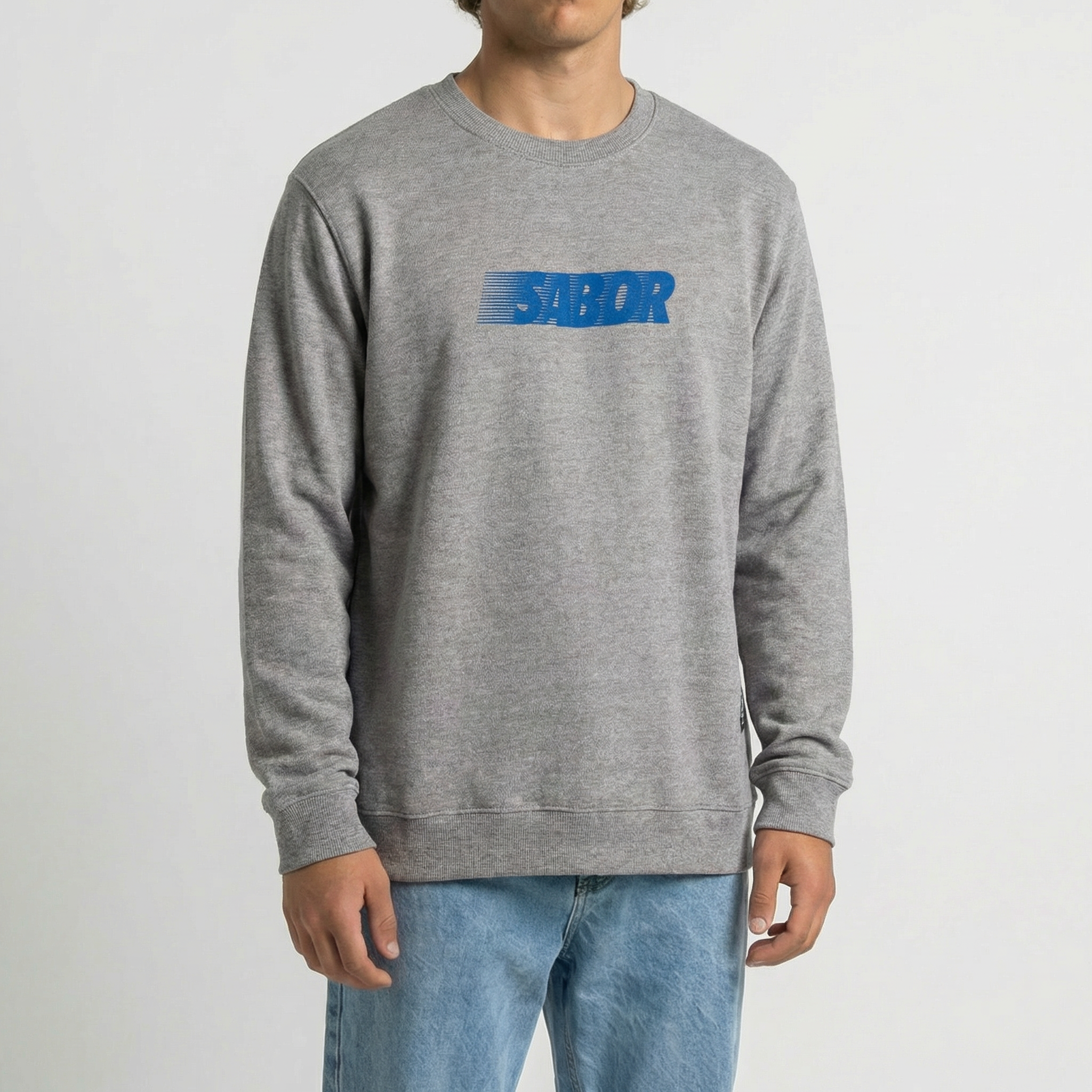 BUZO CREWNECK SPEEDY GRIS MELANGE